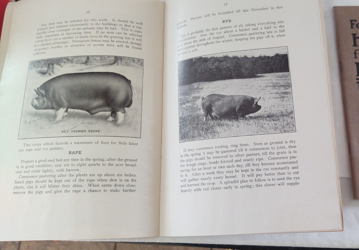 3 Vtg Antique Booklets Farm farming Hogs Pigs , Berkshire / Dundee ,NY Morris