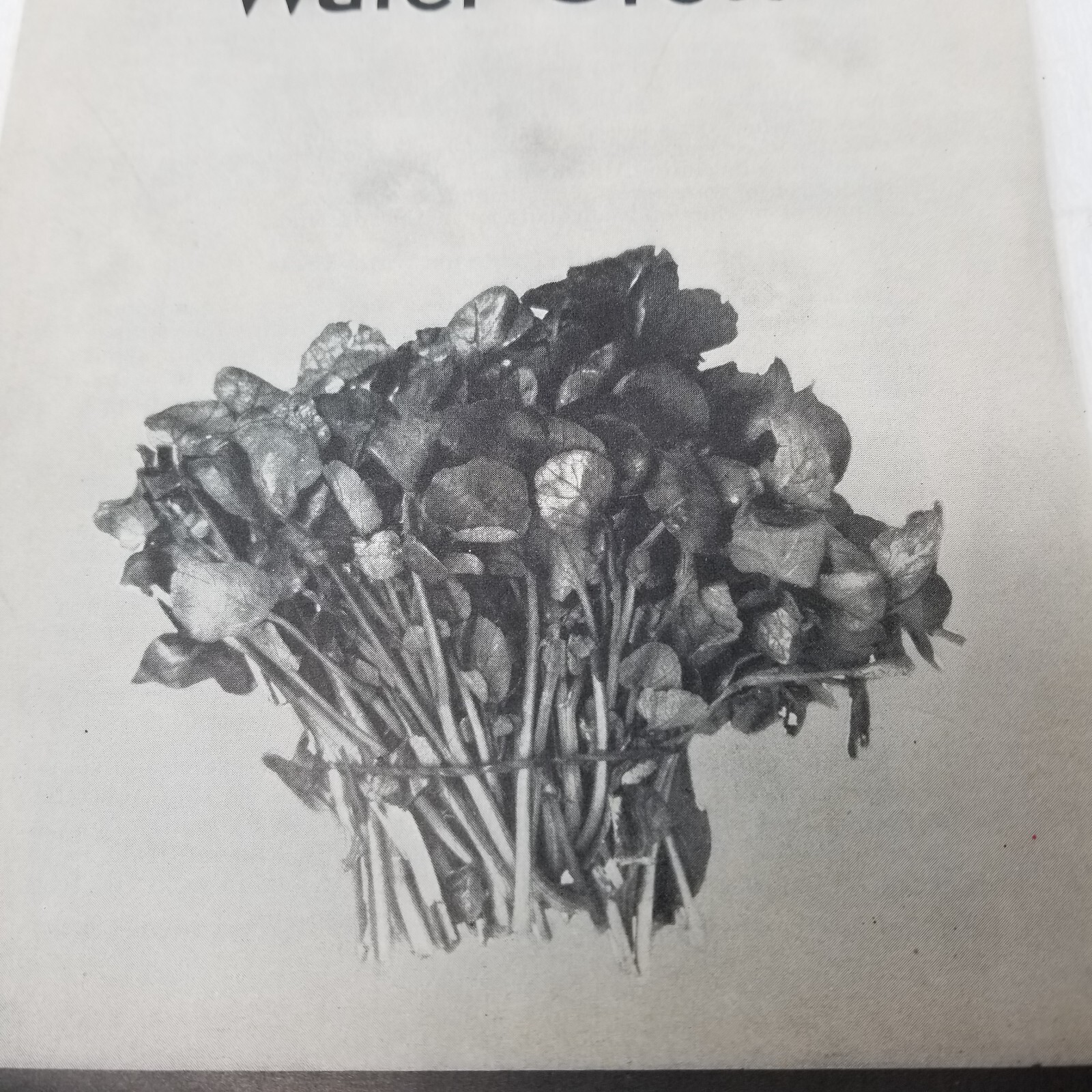 Production of Water Cress 1938 Farmers’ Bulletin Booklet 134 USDA Care Marketing
