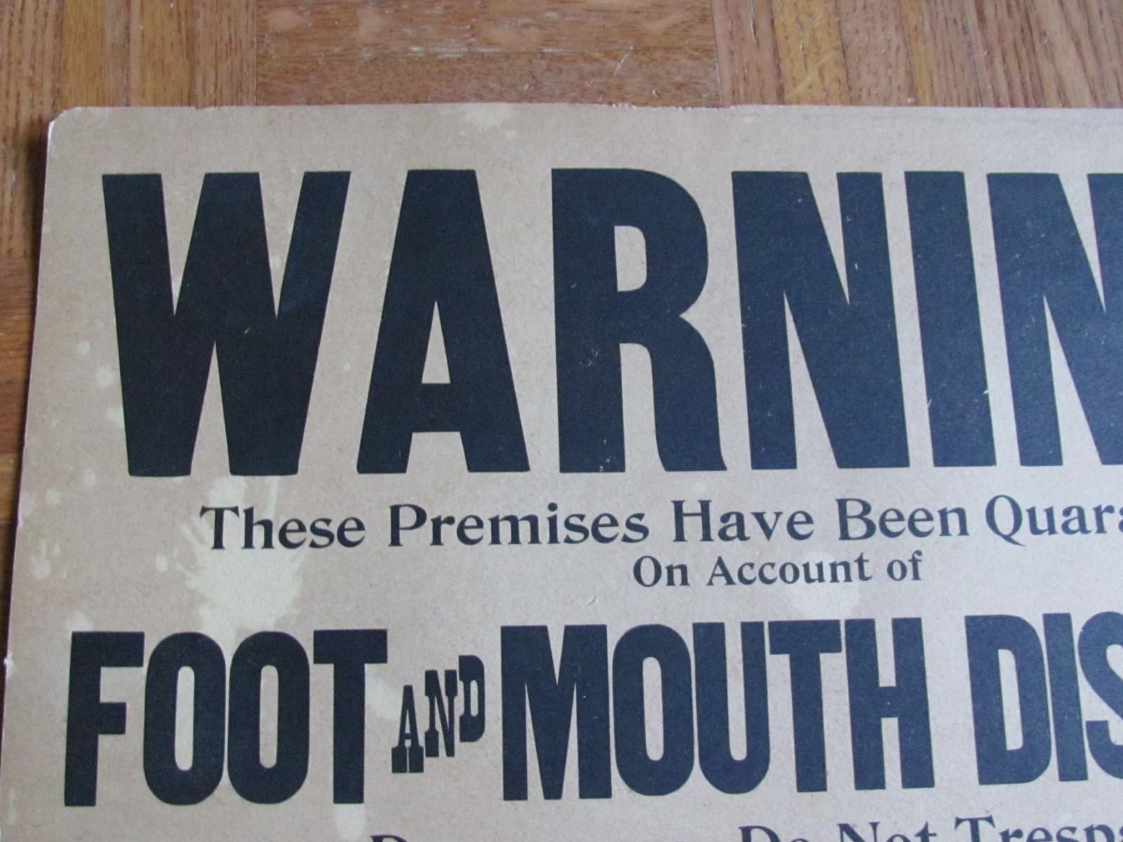 1910’S FARM HISTORY CARDBOARD SIGN DR O DYSON STATE VETERINARIAN NO SHIPPING