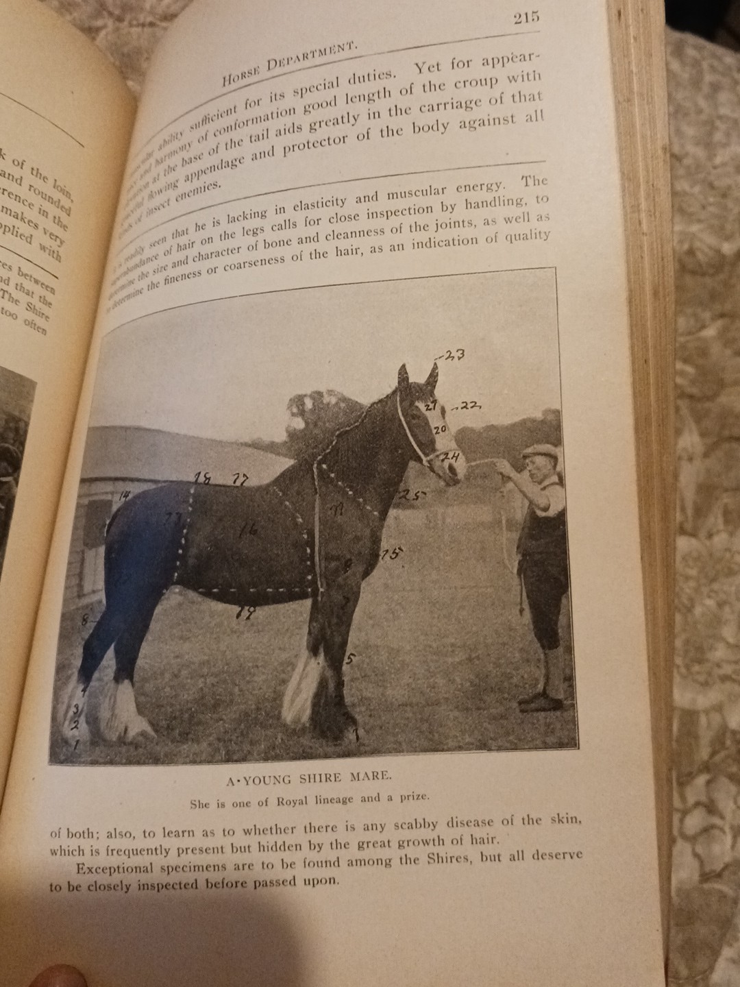 1904 Minnesota Farmers Institute Annual No. 17 Ag Education Listing And Ads