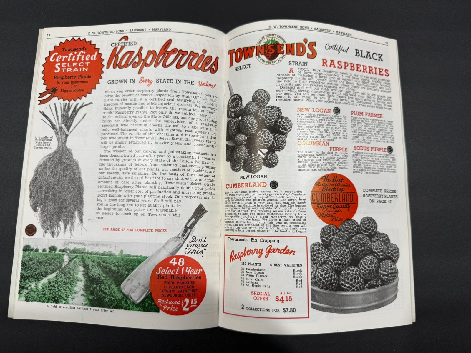 1934-39 Townsend’s & South Michigan Fruit, Flowers, Seed Brochures…..2 Items