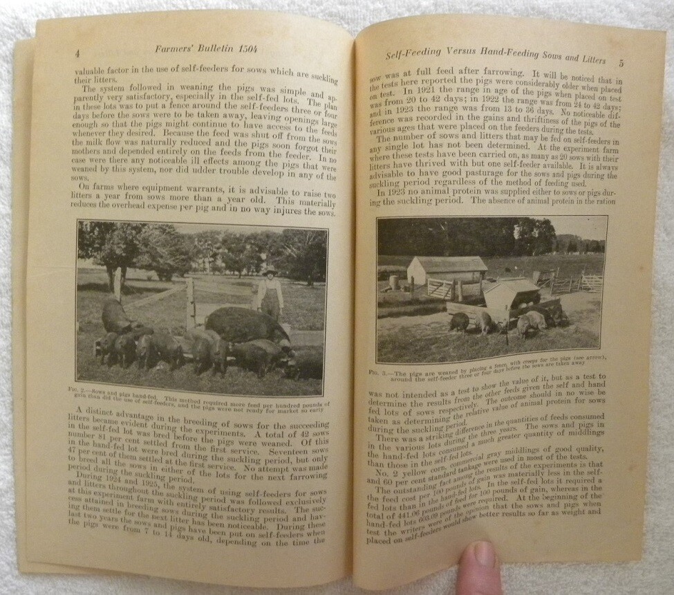 1926 Self or Hand Feeding Sows-Pigs, USDA Agriculture Farmers Bulletin Booklet