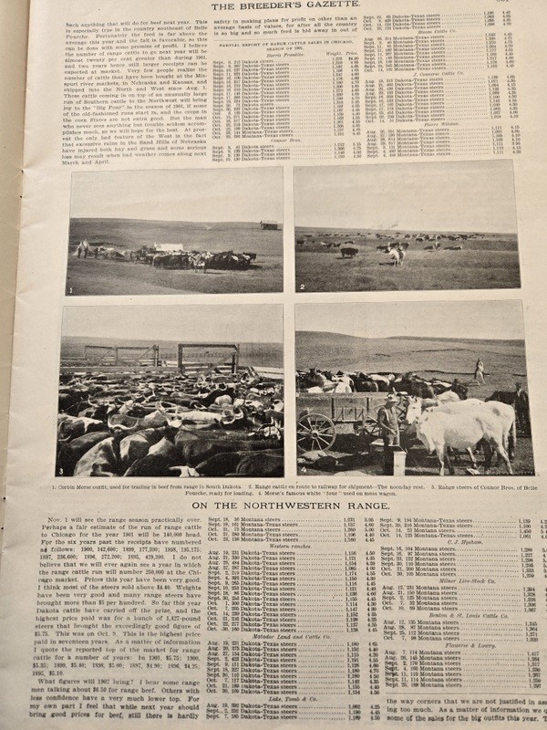 Nov 13, 1901 Breeder’s Gazette Weekly Union Stock Yards Intl Exposition Chicago