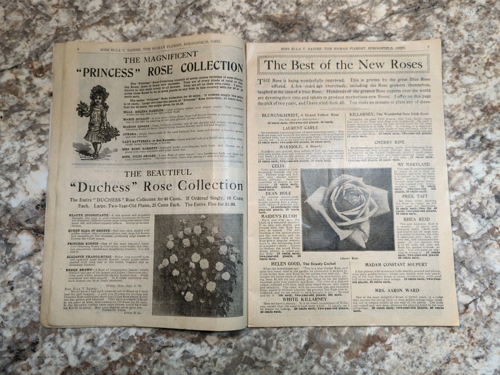 1910 The Woman Florist, Miss Ella V Baines Spring Illustrated Catalogue