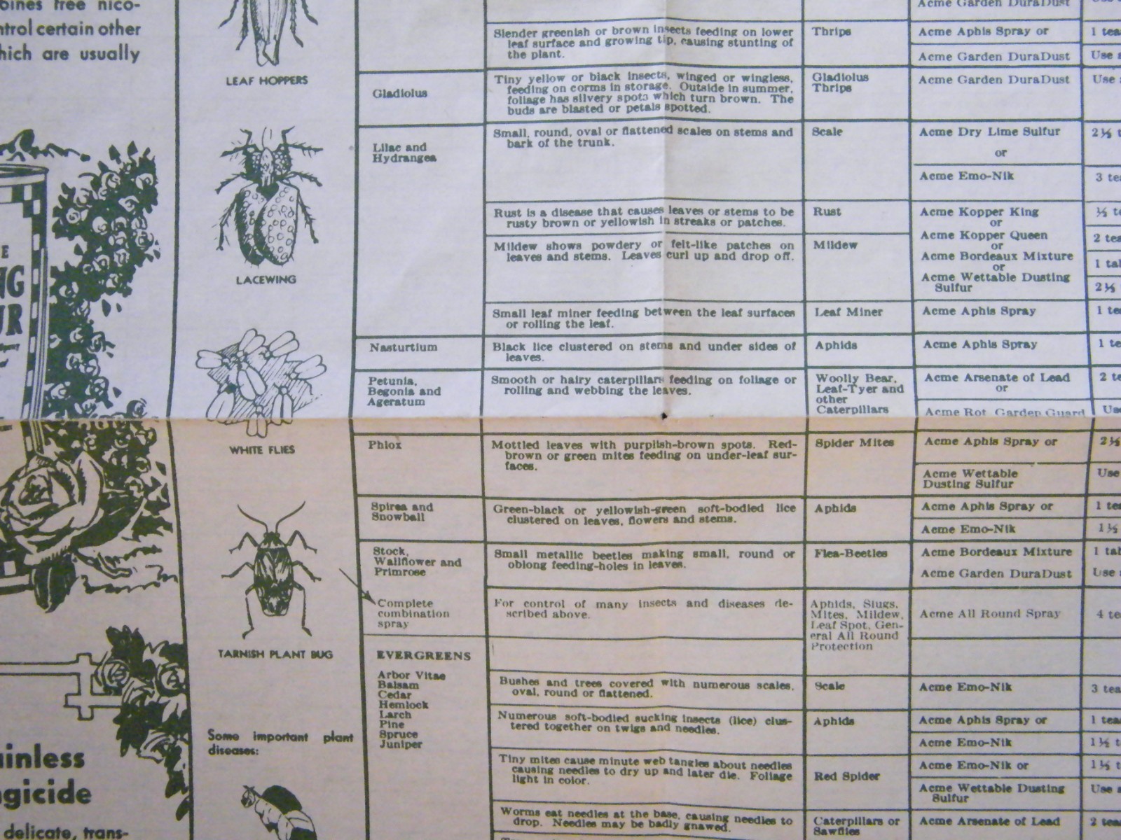 Vintage 1960’s-70’s Acme Spraying Dusting Guide For Gardens & Lawns Brochure