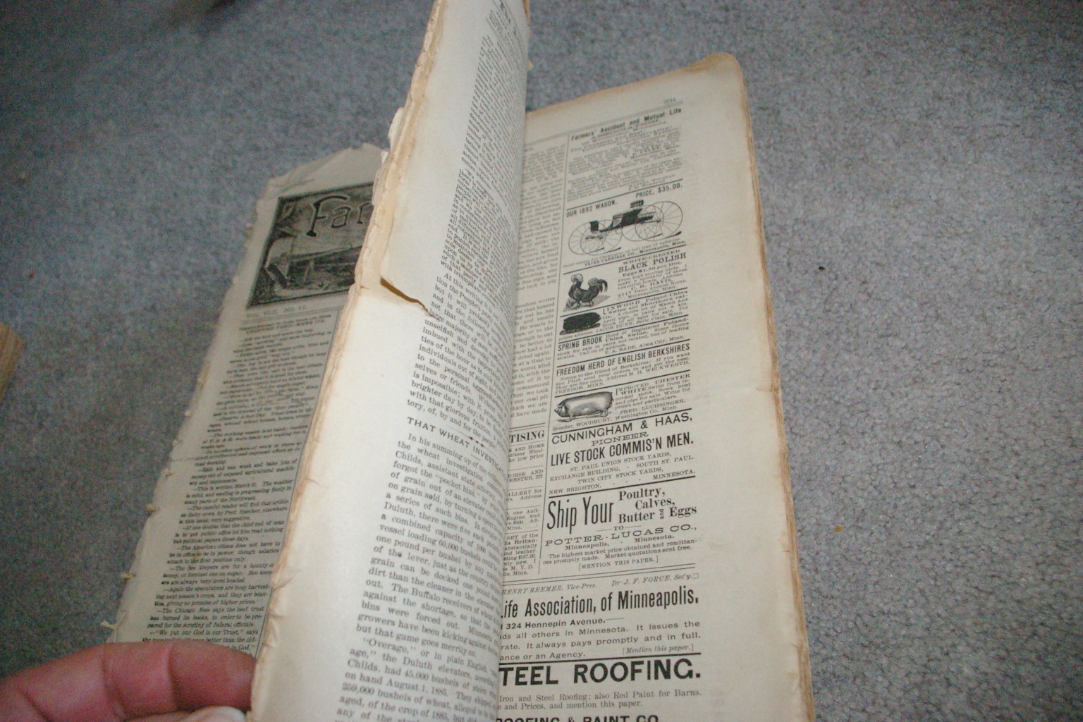 112 ISSUES 1892-1895 & 1899-1900 Farm Stock & Home Publication Great Reading!