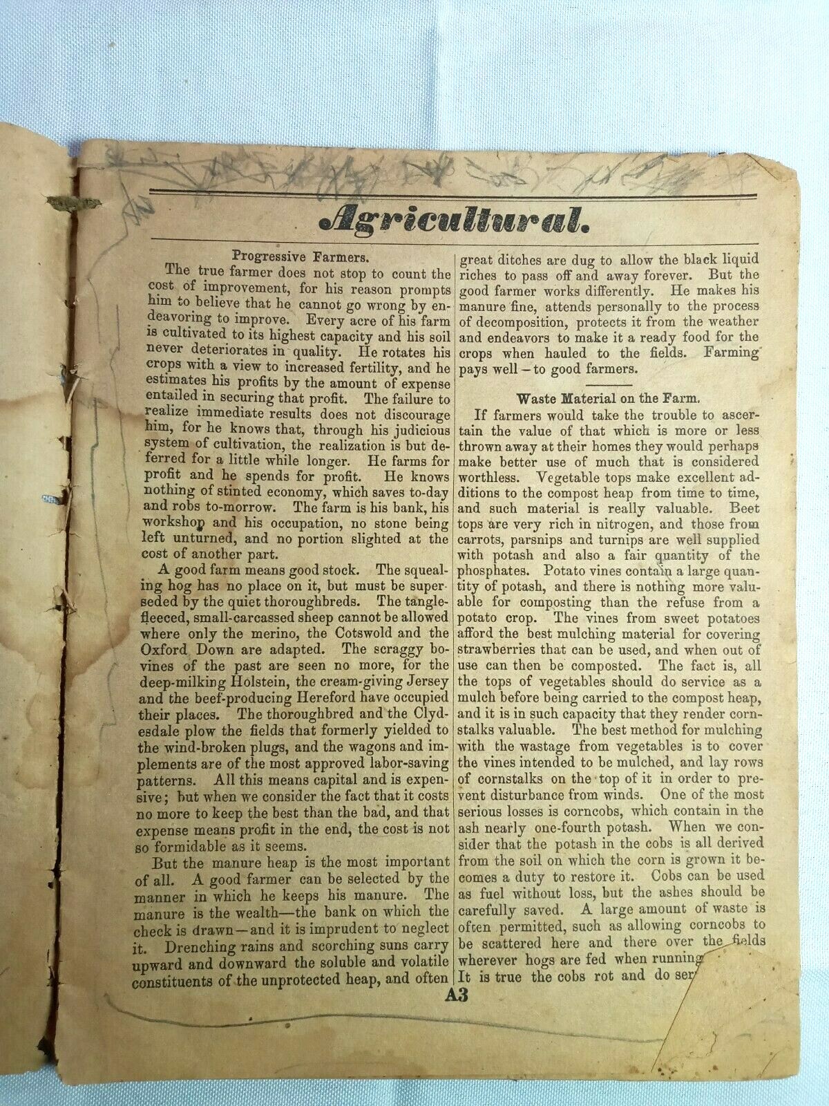 Vintage 1884 John Bear Baer’s Agricultural Almanac Lancaster, PA Antique Farmers