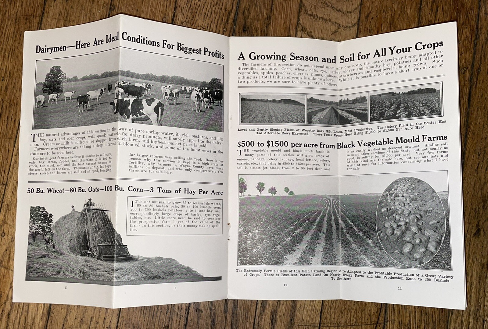 Antique Brochure Wooster Wayne County Ohio JC McIntire For EA Strout Farm Agency