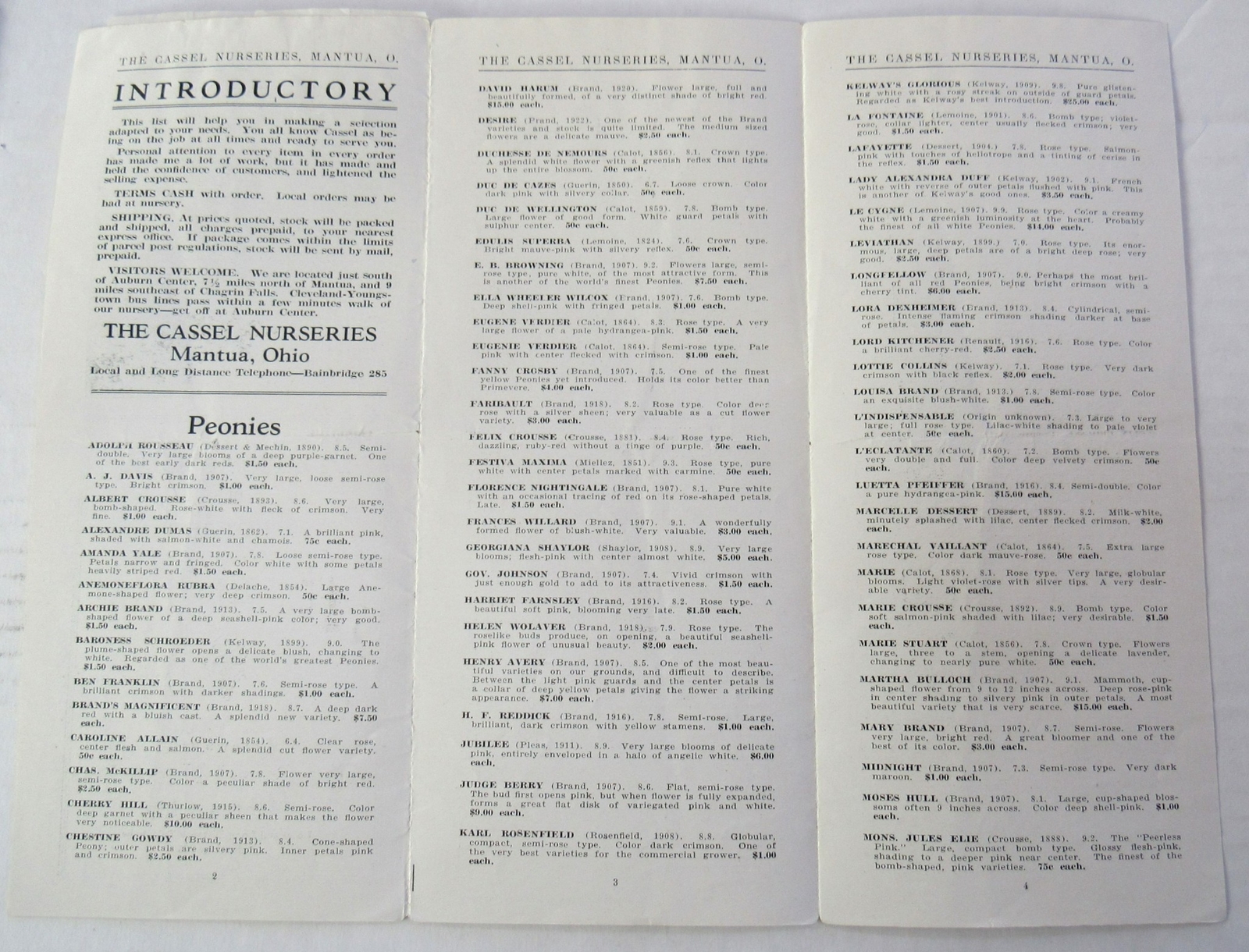 c1920 Planter’s List Peonies Iris FLowers Cassel Nurseries Mantua Ohio Ad Order