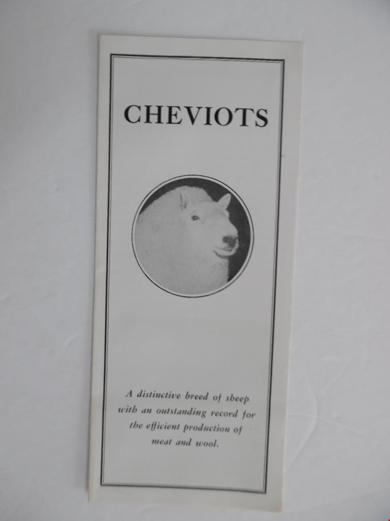c.1952 American Cheviot Sheep Society Breed Brochure Livestock Vintage MINT RARE
