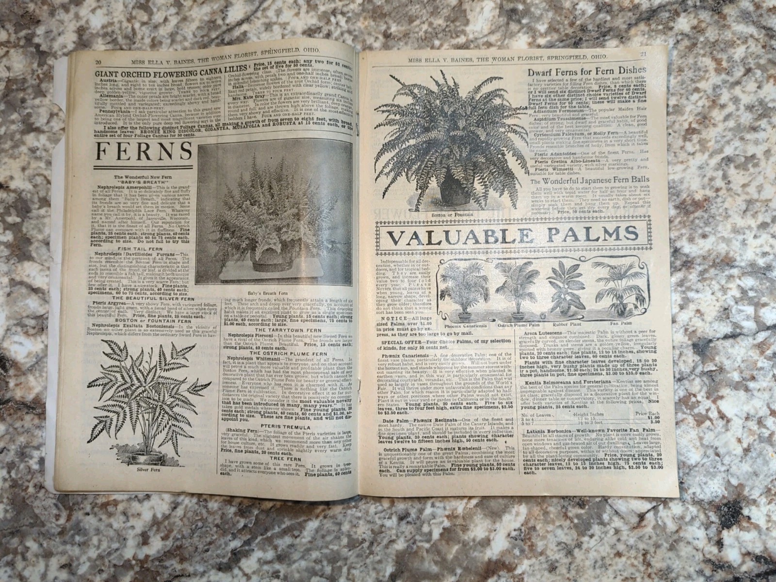 1910 The Woman Florist, Miss Ella V Baines Spring Illustrated Catalogue