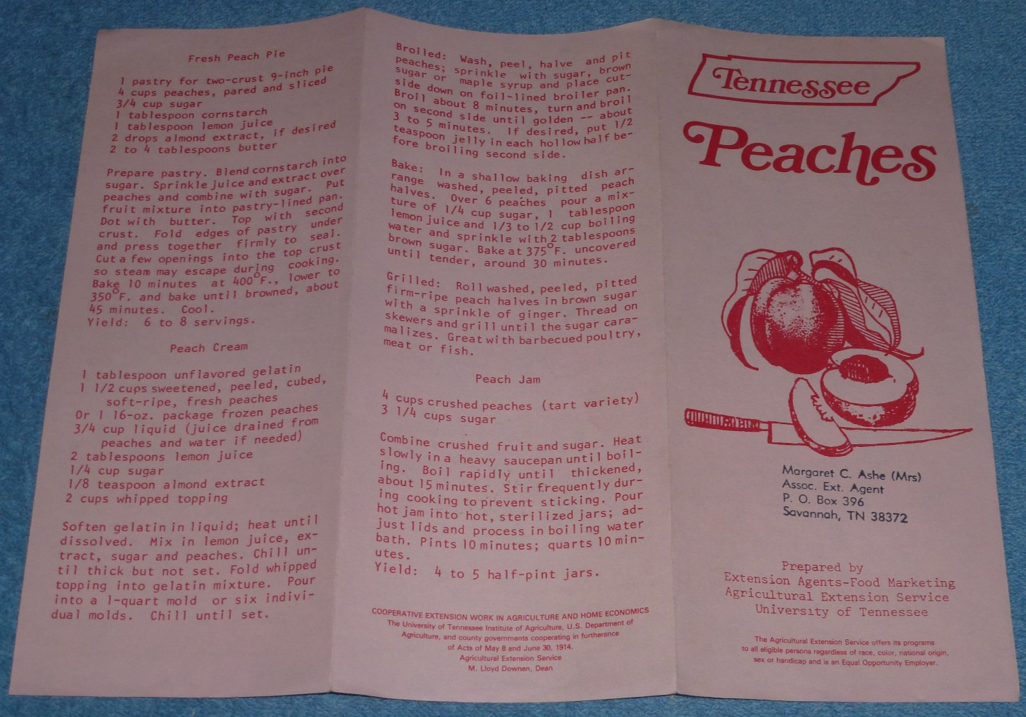 Vtg 1980s Tennessee Peaches Info Recipes Brochure Agricultural Extension Service