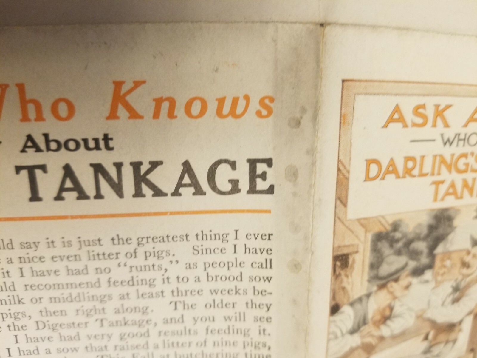 VINTAGE AGRICULTURE BROCHURE. DARLING’S DIGESTER TANKAGE.