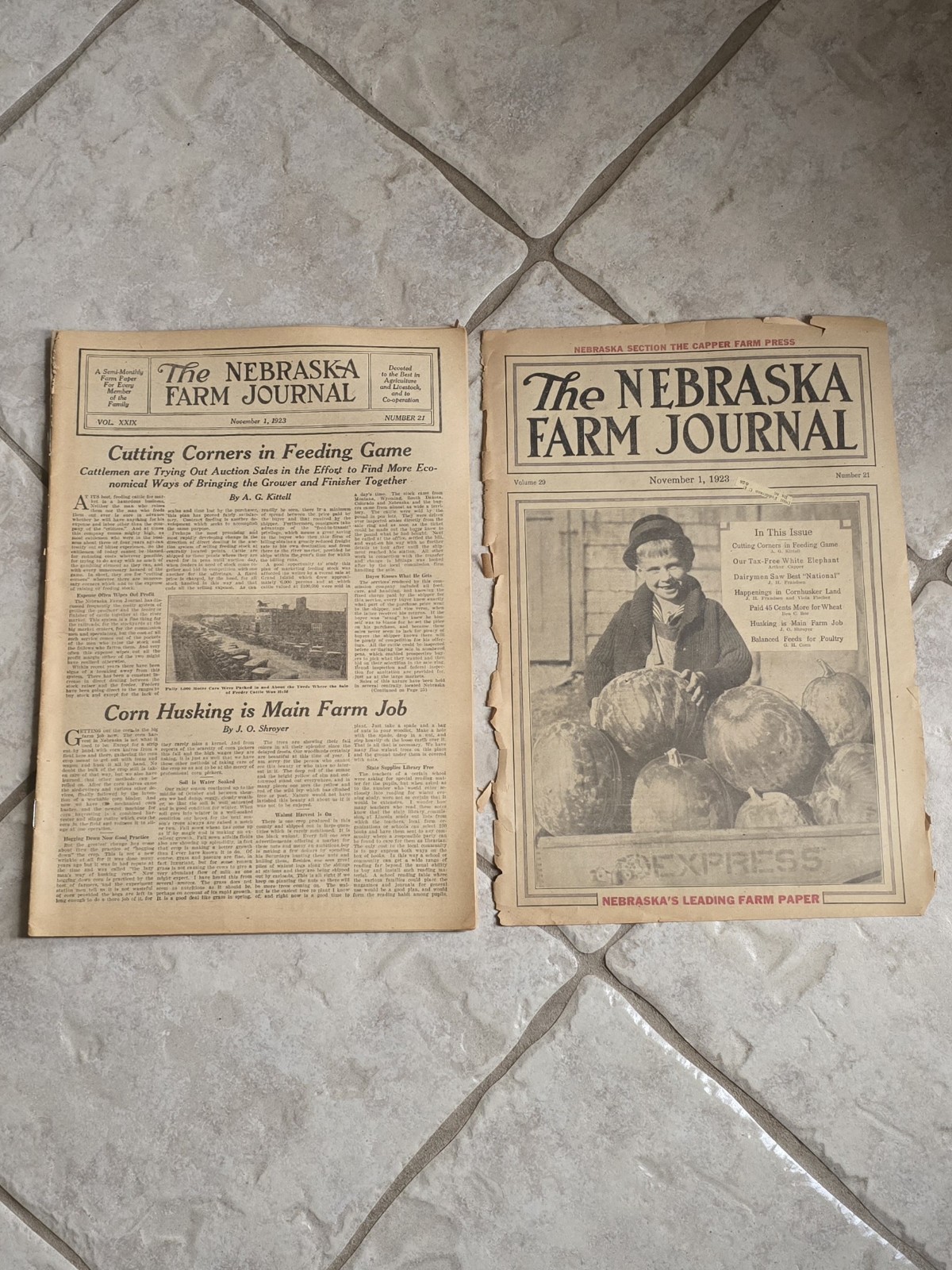 14 Lot/Rare 1923-1924 Nebraska Farm Journals-Capper Farm Press-Vintage Color Art
