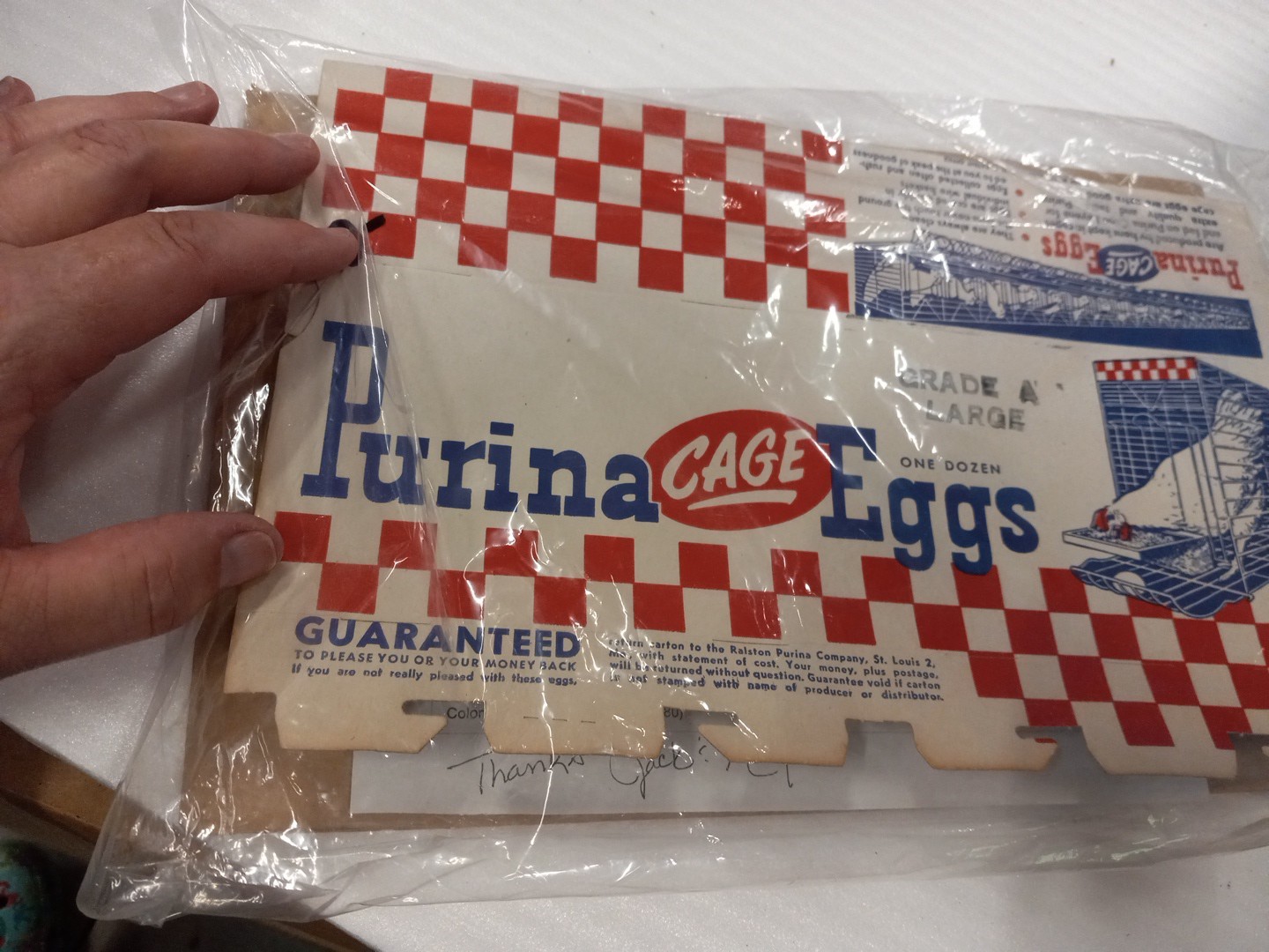 VINTAGE PURINA CAGE EGGS 1 DOZEN PAPER CARTON Ted White Checkered