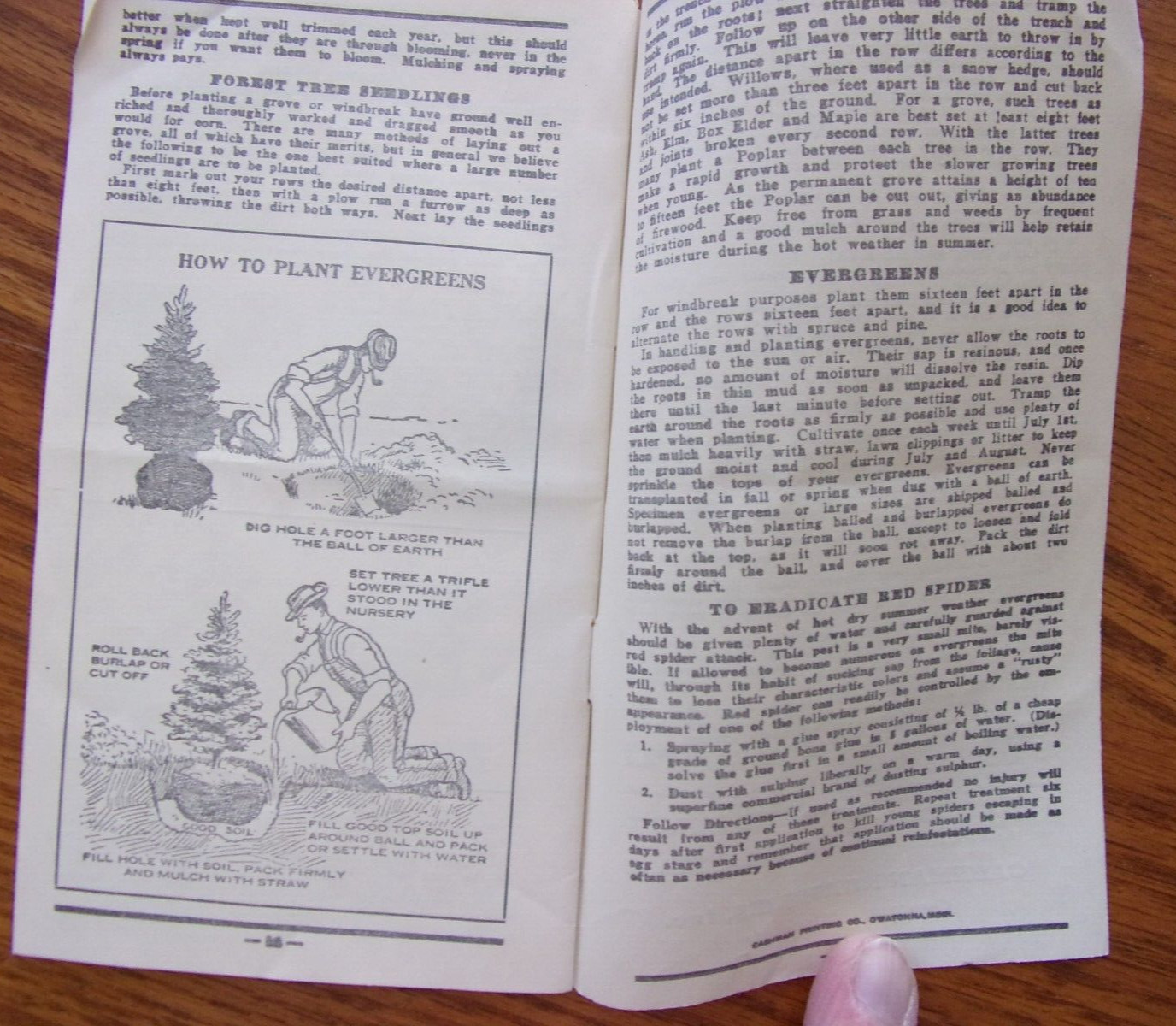 VINTAGE OWATONNA MINNESOTA CASHMAN NURSERIES PLANTING & CARE BROCHURE 1940’S?