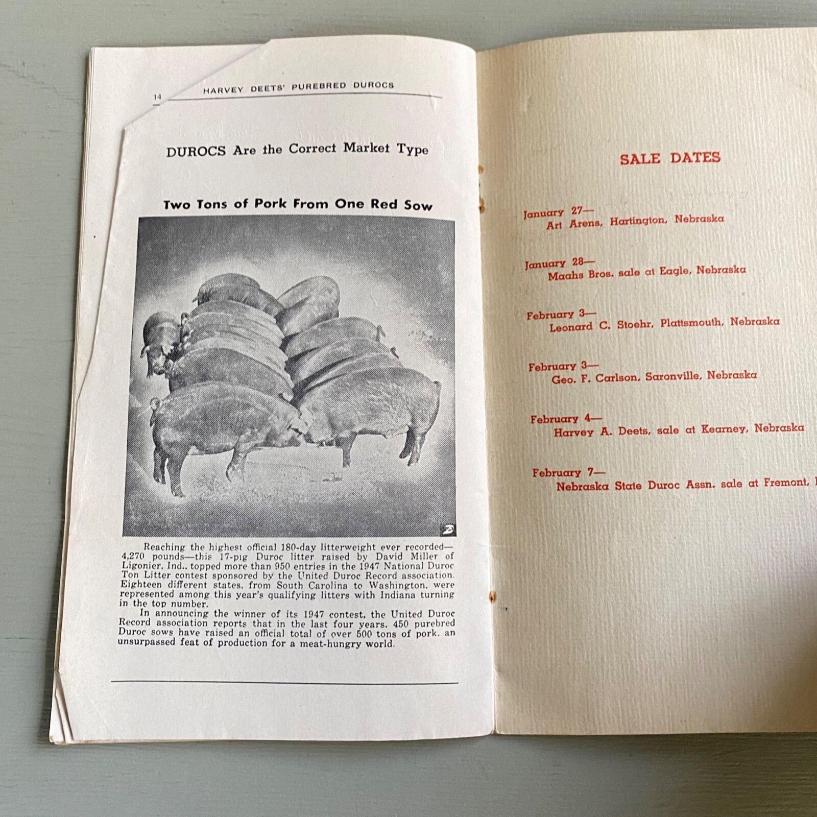 Vintage Purebred Durocs Hogs Pigs Sale Catalog Book Kearney Nebraska 1948