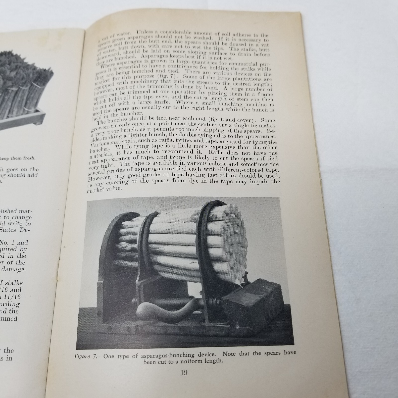 Asparagus Growing Culture 1947 Farmers’ Bulletin Booklet 1646 USDA Photos Charts