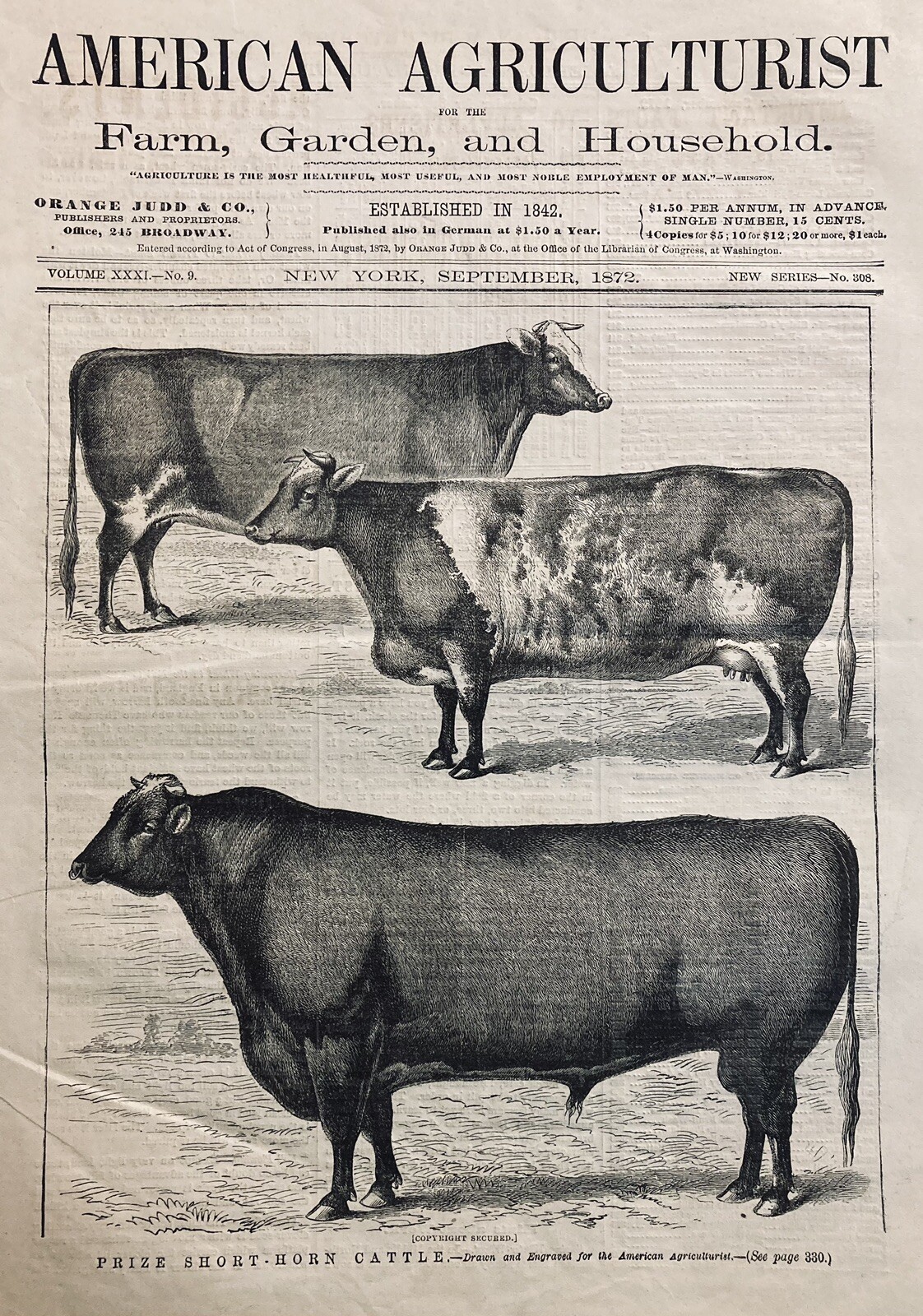 1872 AD(XH64)~AMERICAN AGRICULTURIST MAGAZINE COVER (ONLY) PRIZE HORN CATTLE