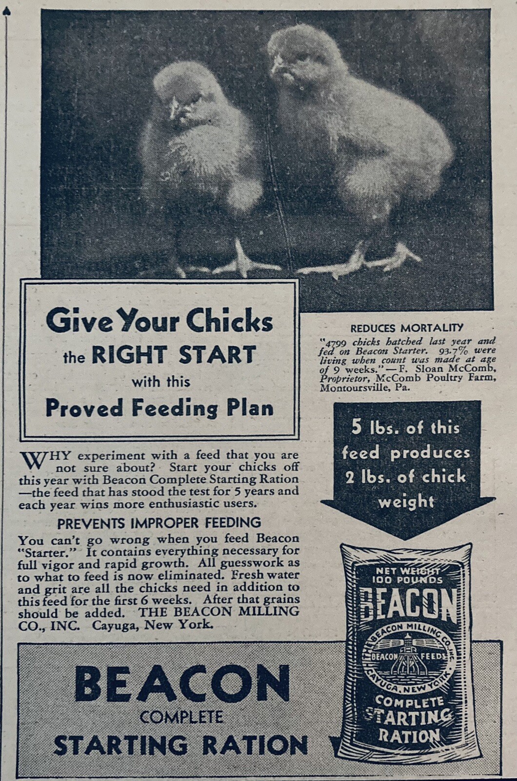1934 AD.(XH50)~BEACON MILLING CO. CAYUGA, NY. BEACON CHICK STARTER RATION