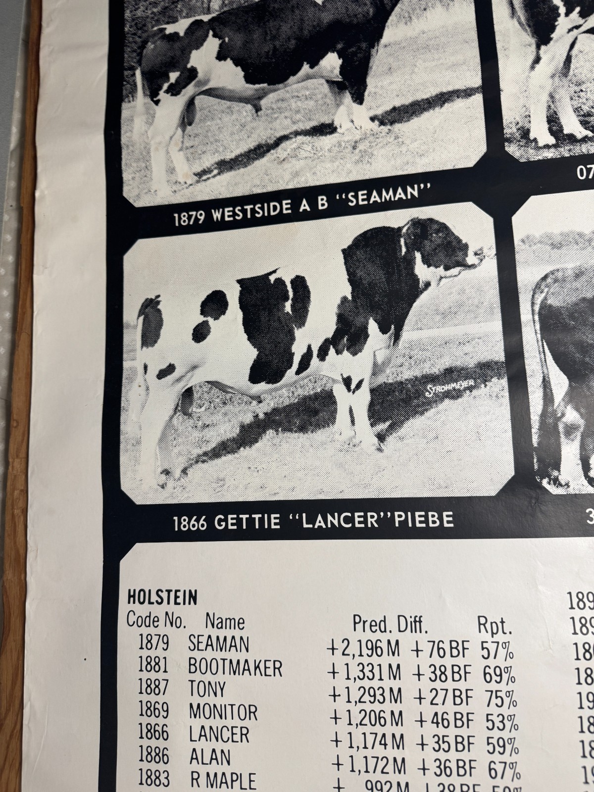 1970 TOP of the Lists The USDA Proofs ABS American Breeders Service Ad Poster