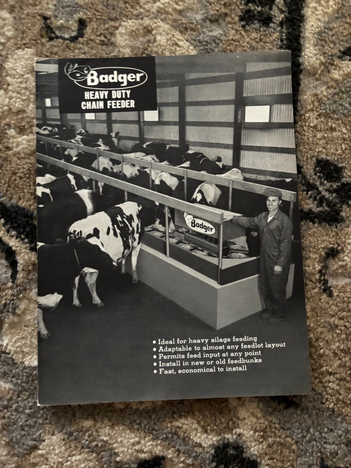 Badger Heavy Duty Chain Feeder For 1972 Brochure DCPA26