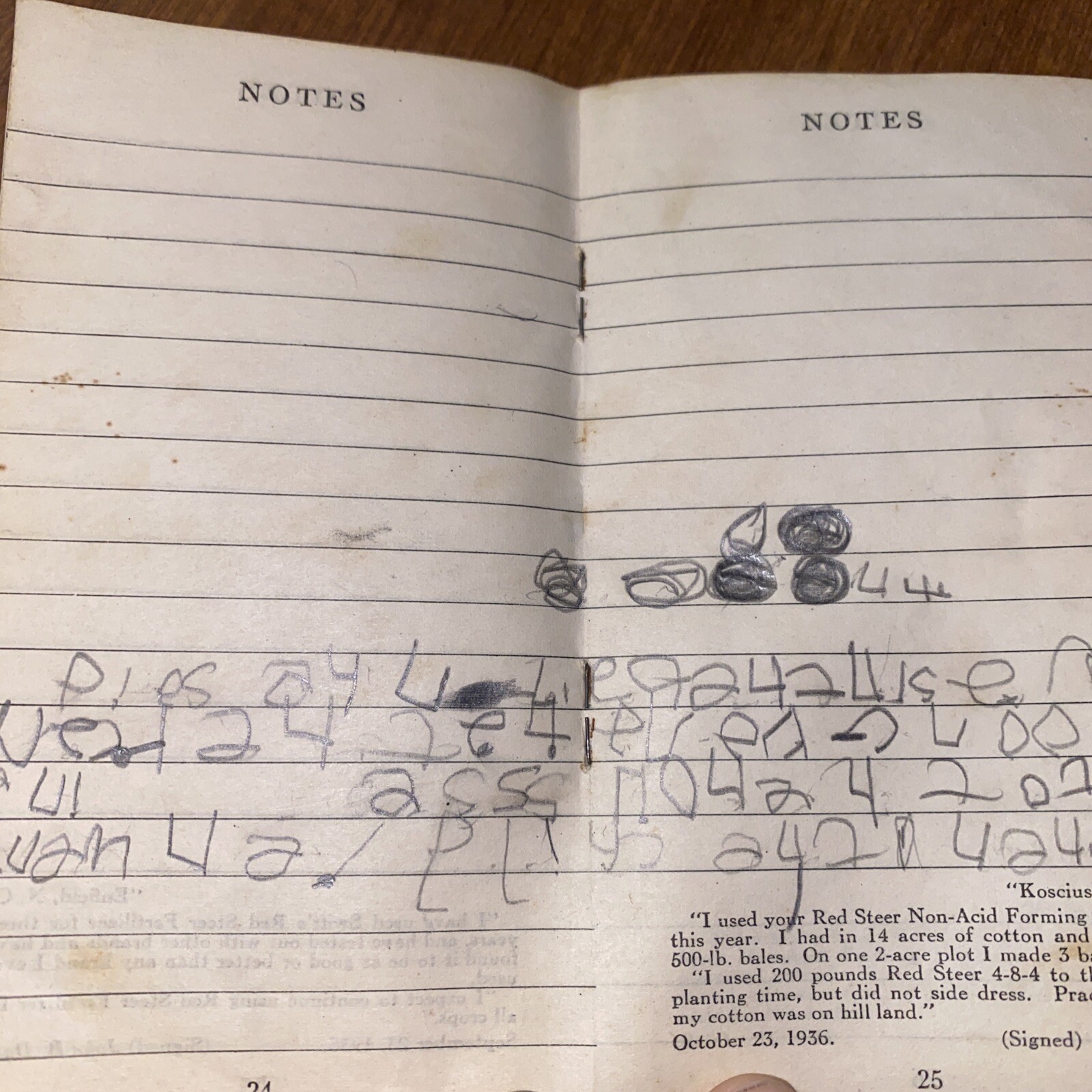 Vintage 1945 Swift’s Red Steer Brand Fertilizers Advertising Memo Book Notepad