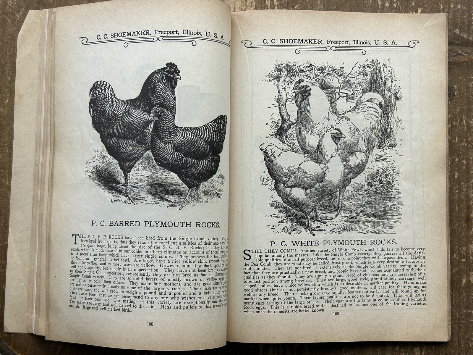Antique Vintage 1904 CC SHOEMAKER’S ALMANAC CATALOG Poultry Advertising Freeport