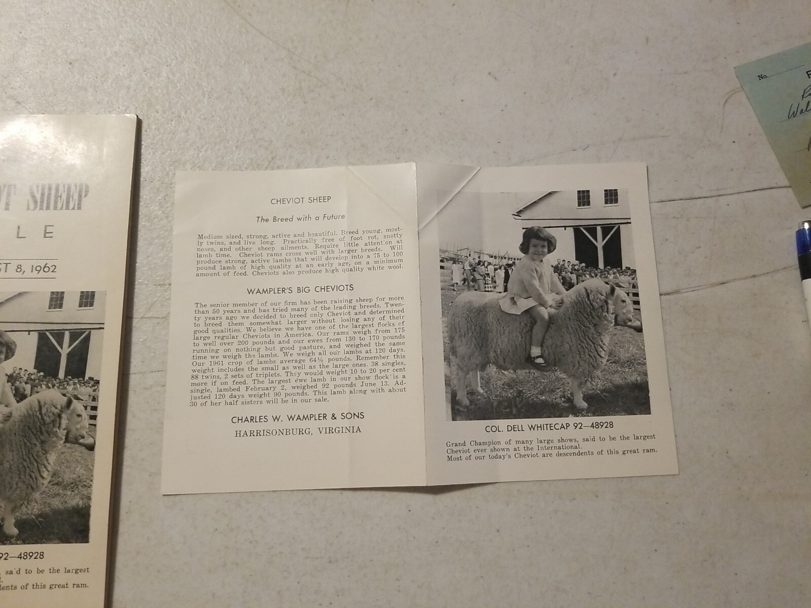 Vintage 1962 Wampler’s Cheviot Sheep Sale Catalog & Flyer. Harrisonburg, VA