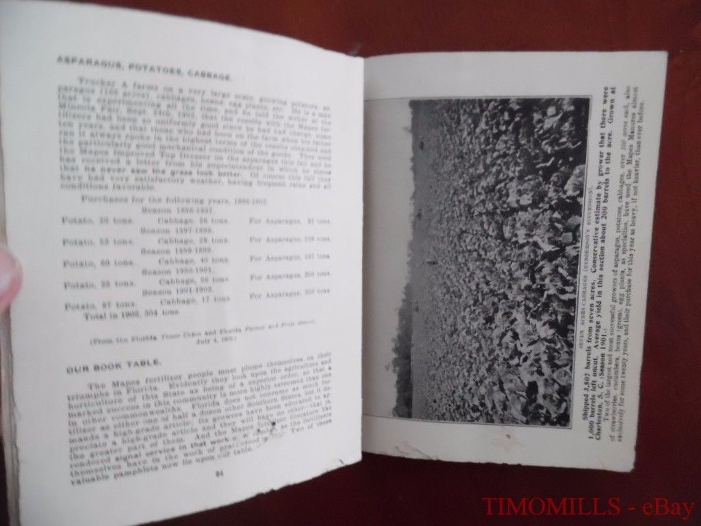 1903 Mapes Peruvian Guano Fertilizer Vegetable Market Garden Catalog Brochure