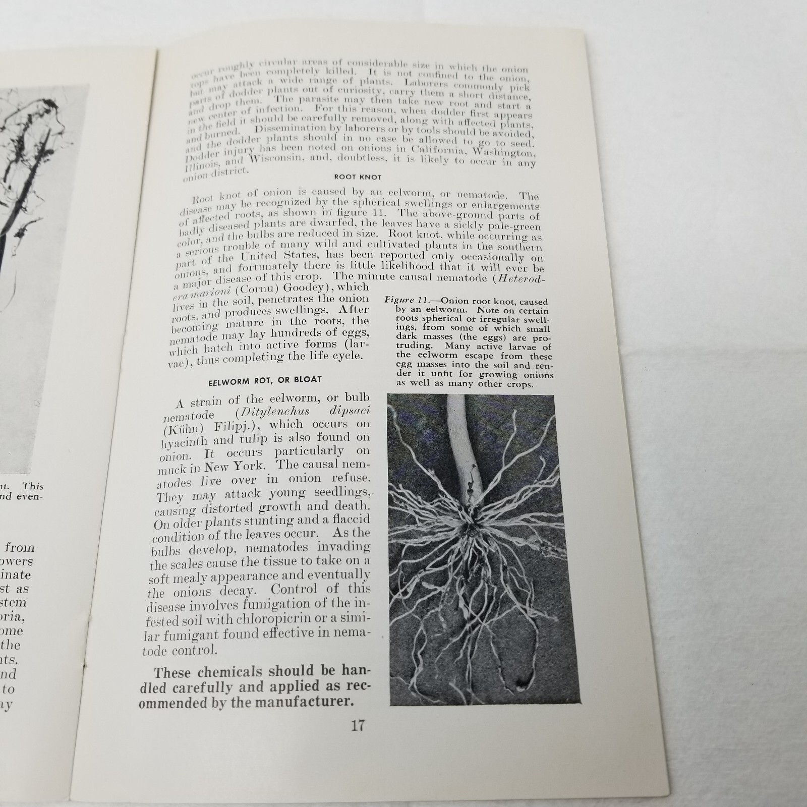 Onion Diseases Control 1947 Farmers’ Bulletin Booklet 1060 USDA Photos Charts