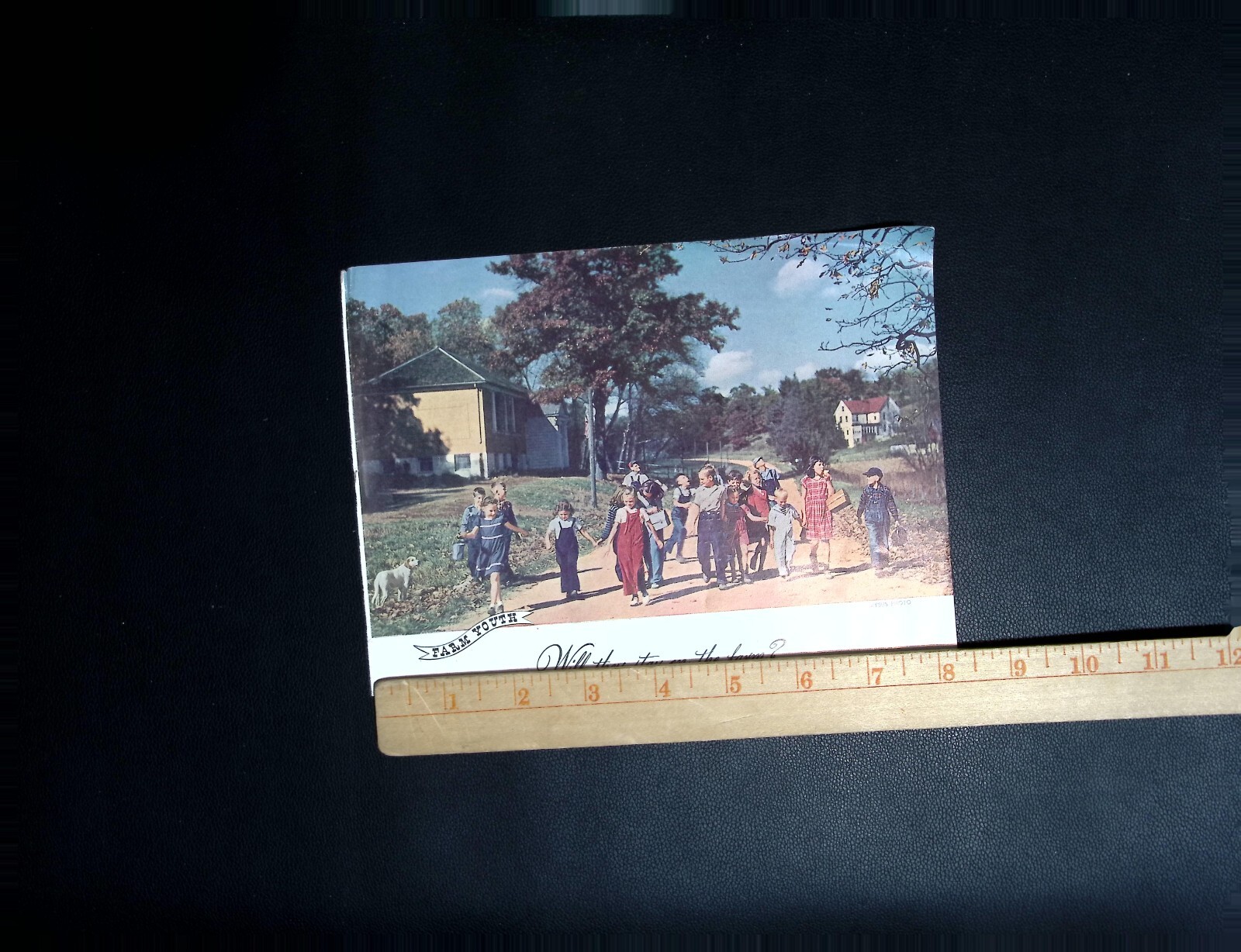 Vintage 1940s Farm Youth Mailer “Will They Stay on the Farm?” E. H. Gerhart & C