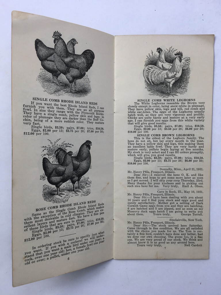 1930’s Henry Pfile Poultry Catalog Freeport IL Chickens Fowl Growers Guide