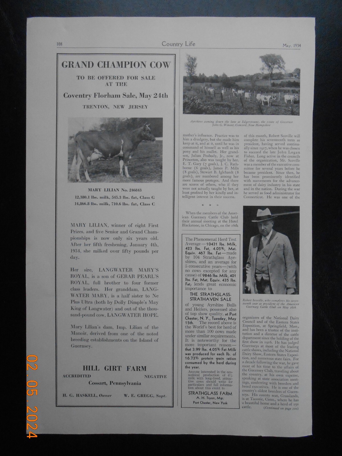 1934 Hill Girt Farm Cossart PA Grand Champion Cow Mary Lillian AD for sale Horse