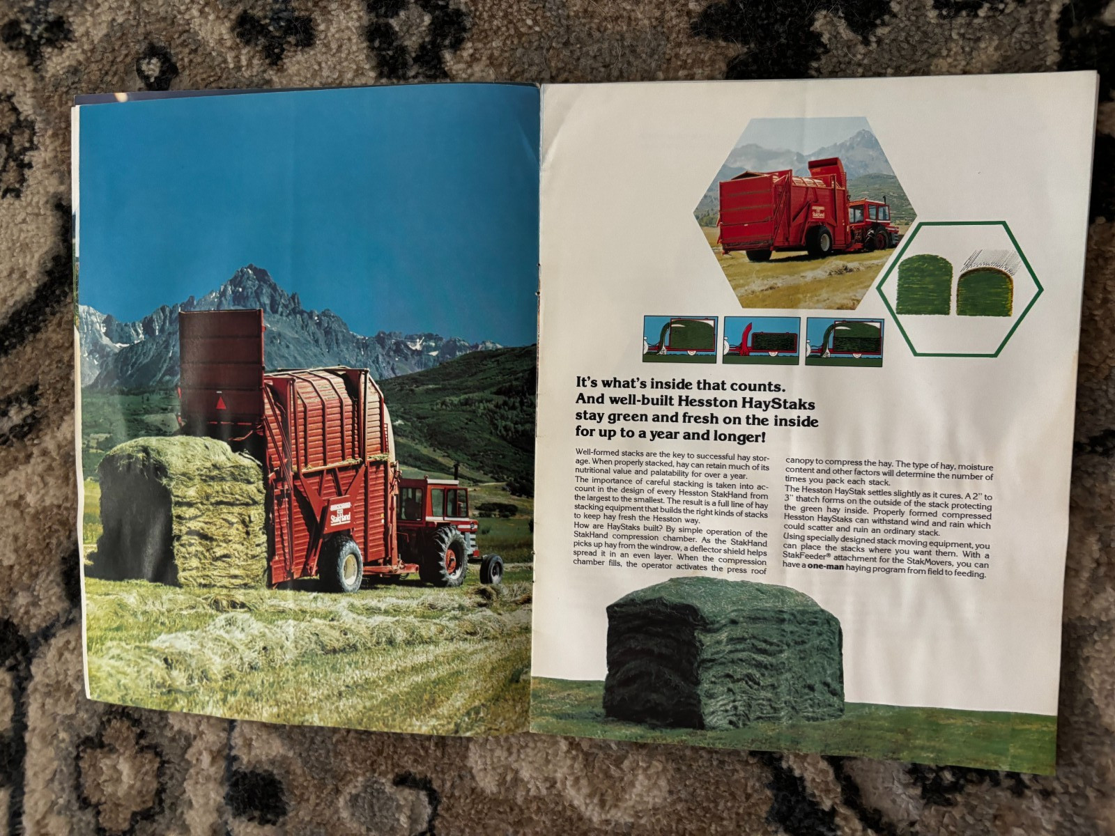 Hesston Buyers For 1974 Brochure DCPA26