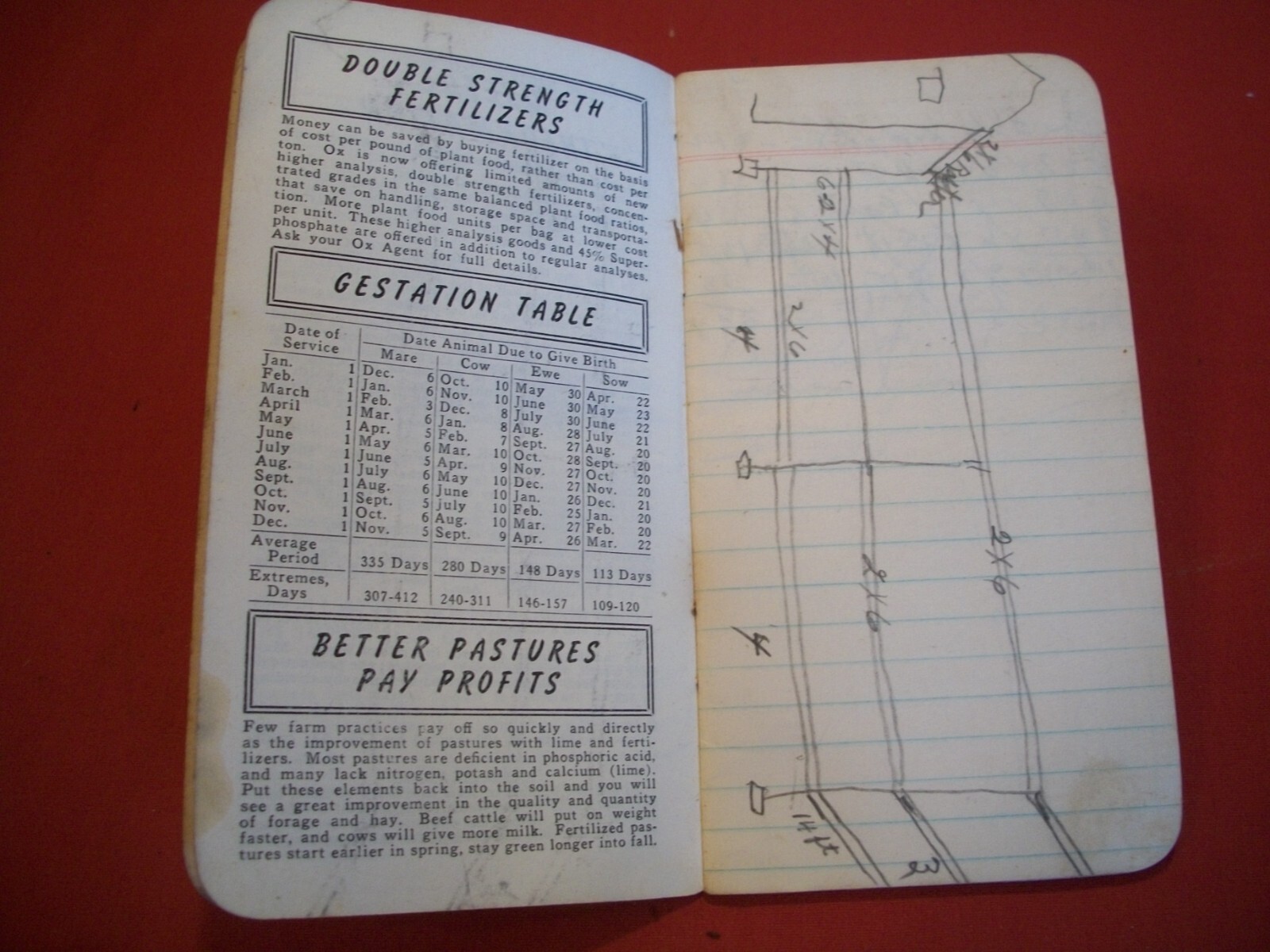 Collectable 1951-1952 Ox Guanos Fertilizers Memo Note Booklet