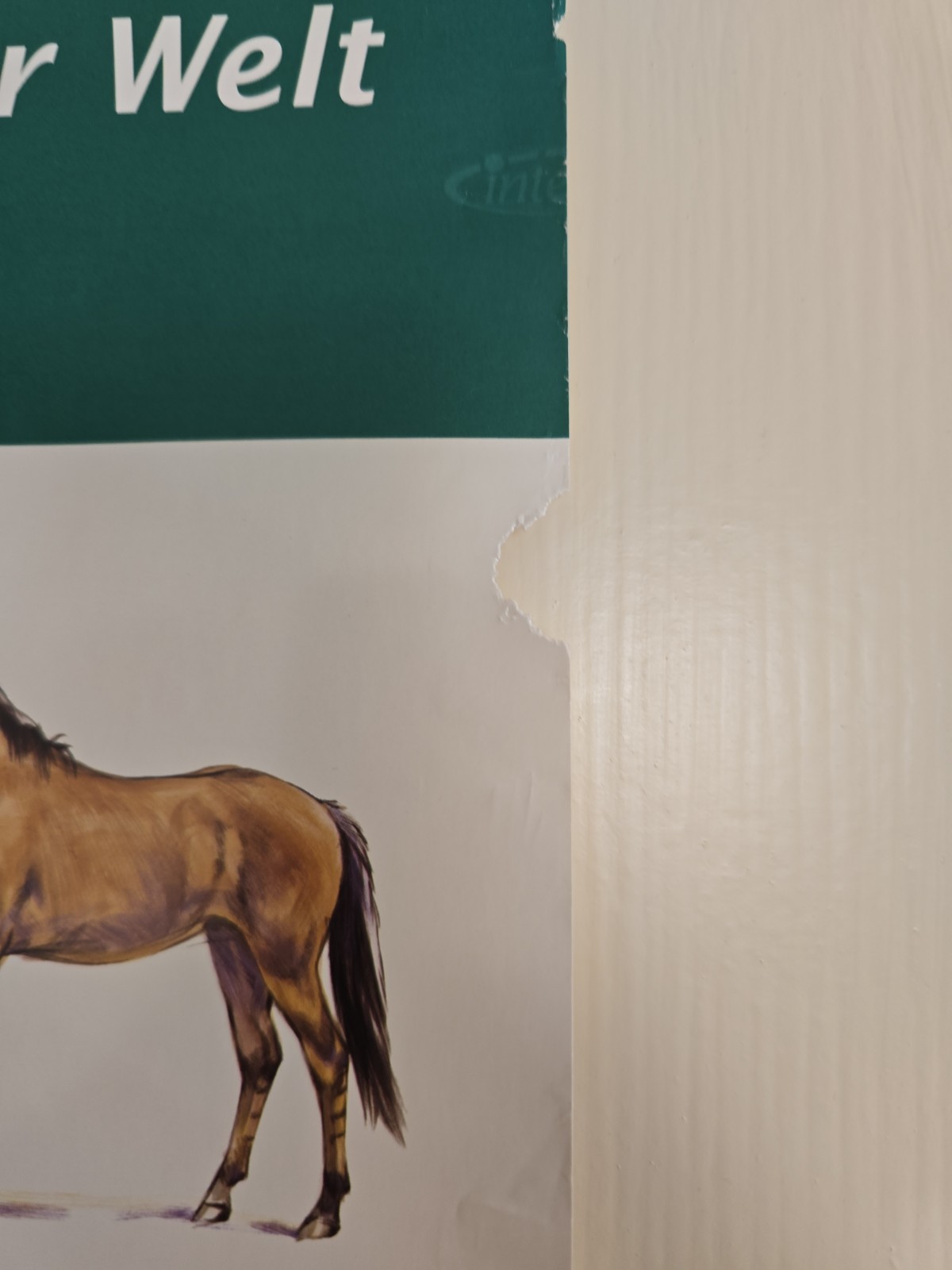 Vintage Intervet Horses of the World Poster Original 5×2 Foot Veterinary Promo