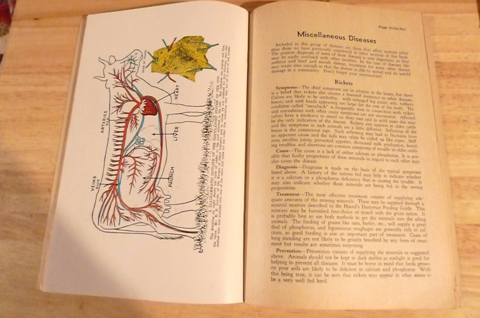 1954 Hoard’s Dairymen How to Treat Common Ailments of Farm Animals