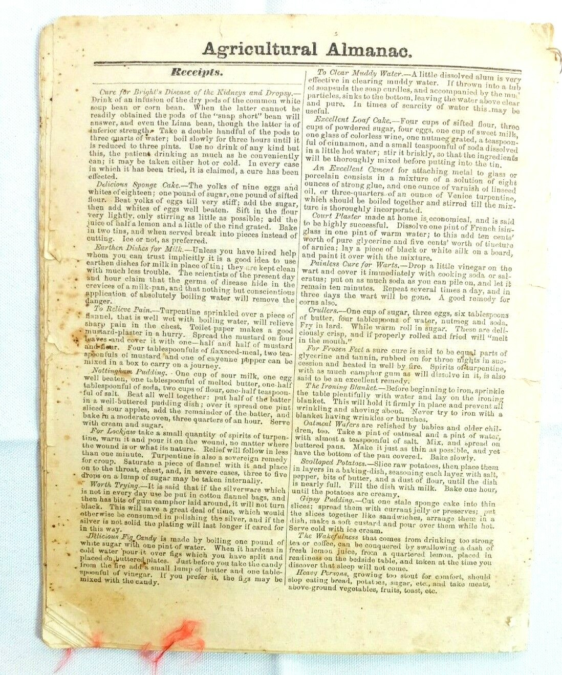 Vintage 1885 John Bear Baer’s Agricultural Almanac Antique Farmers Lancaster PA
