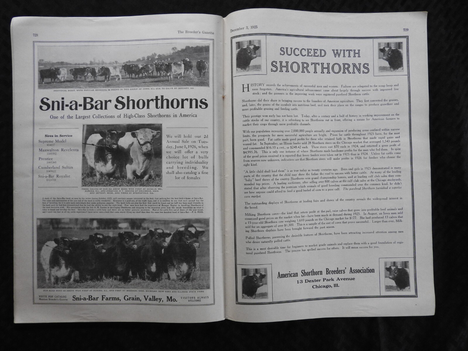 1925 Breeder’s Gazette Magazine – cattle rancher farmer horse show VERY GOOD