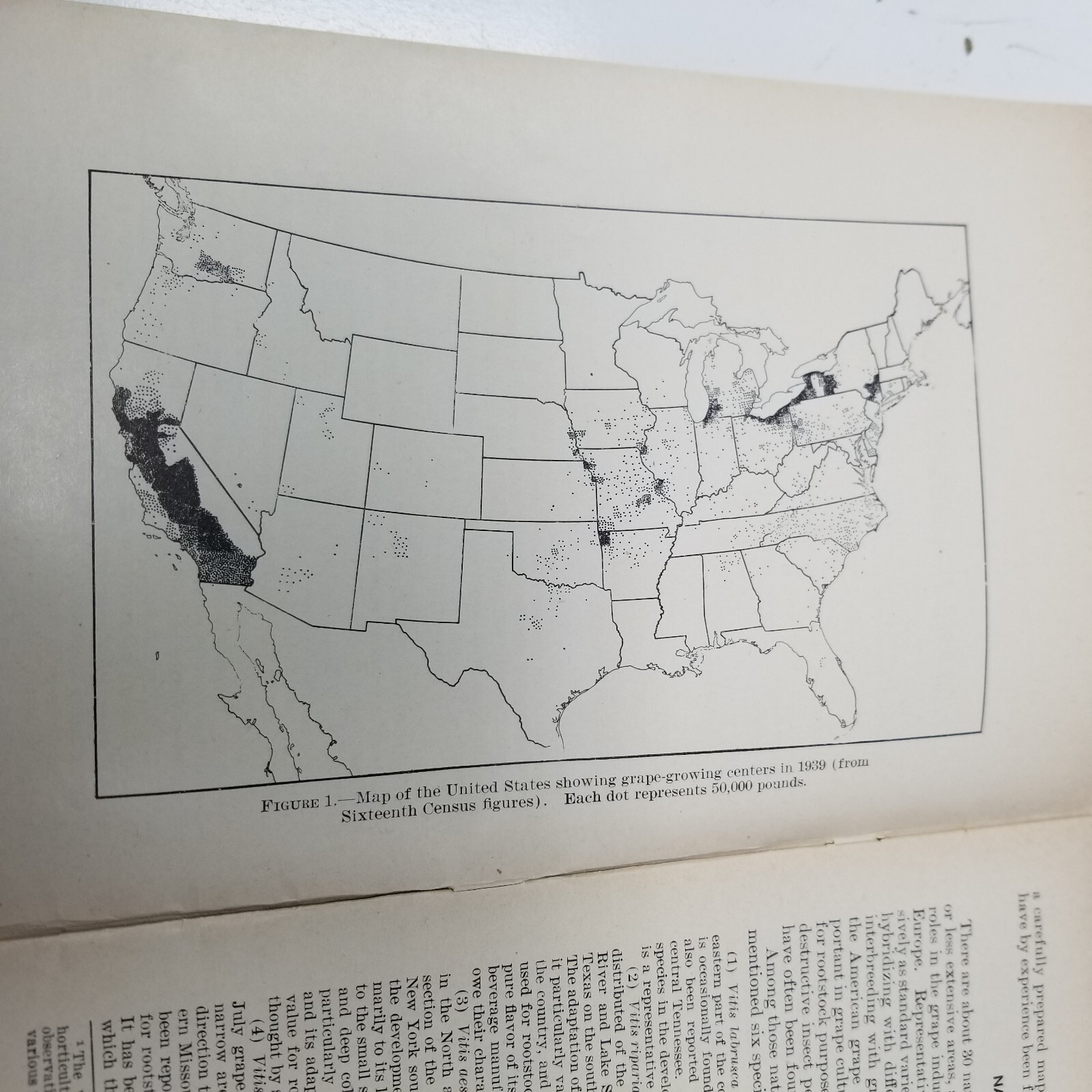 Grapes for Different Regions 1943 Farmers’ Bulletin Booklet 1936 USDA Photos