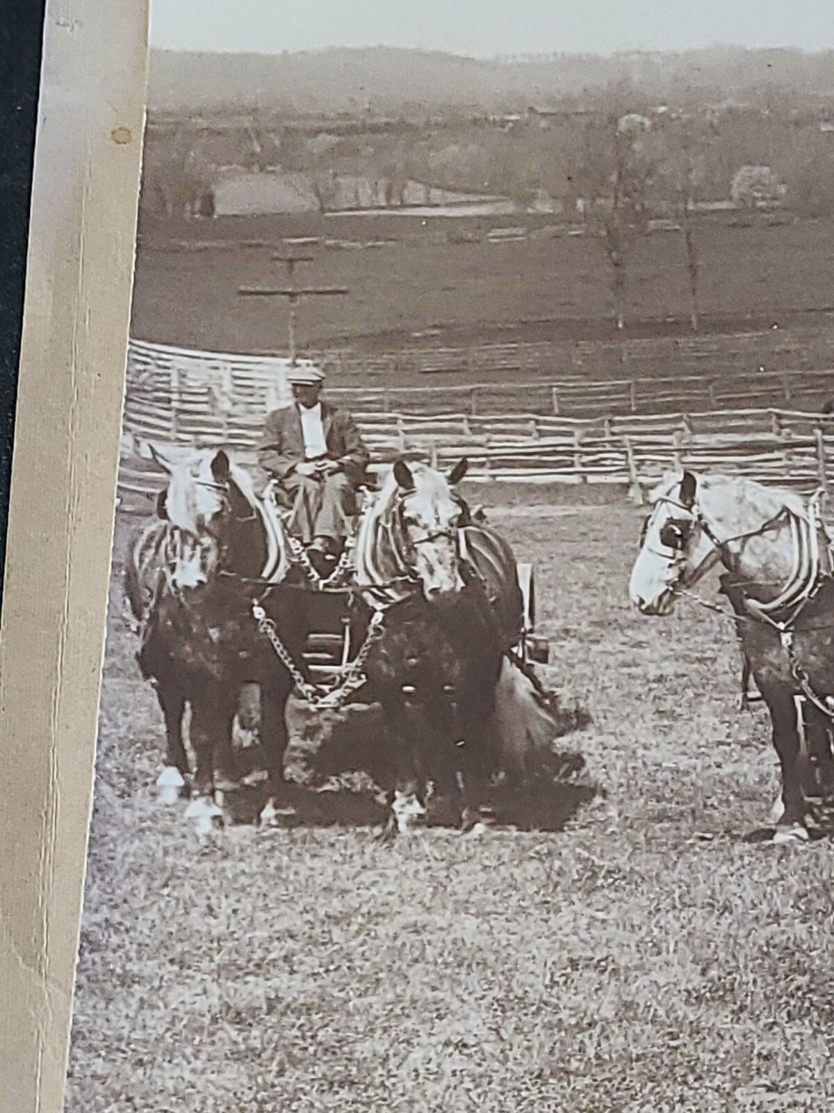 Vintage 1800s 5 Farmers & Horse Wagons Photo Newark NJ