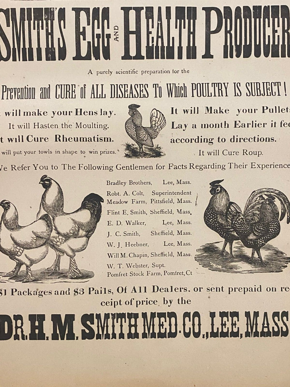 Antique 1900’s Dr.Smith’s Egg & Chicken Broadside Poster Sign, Lee, MASS Kitchen