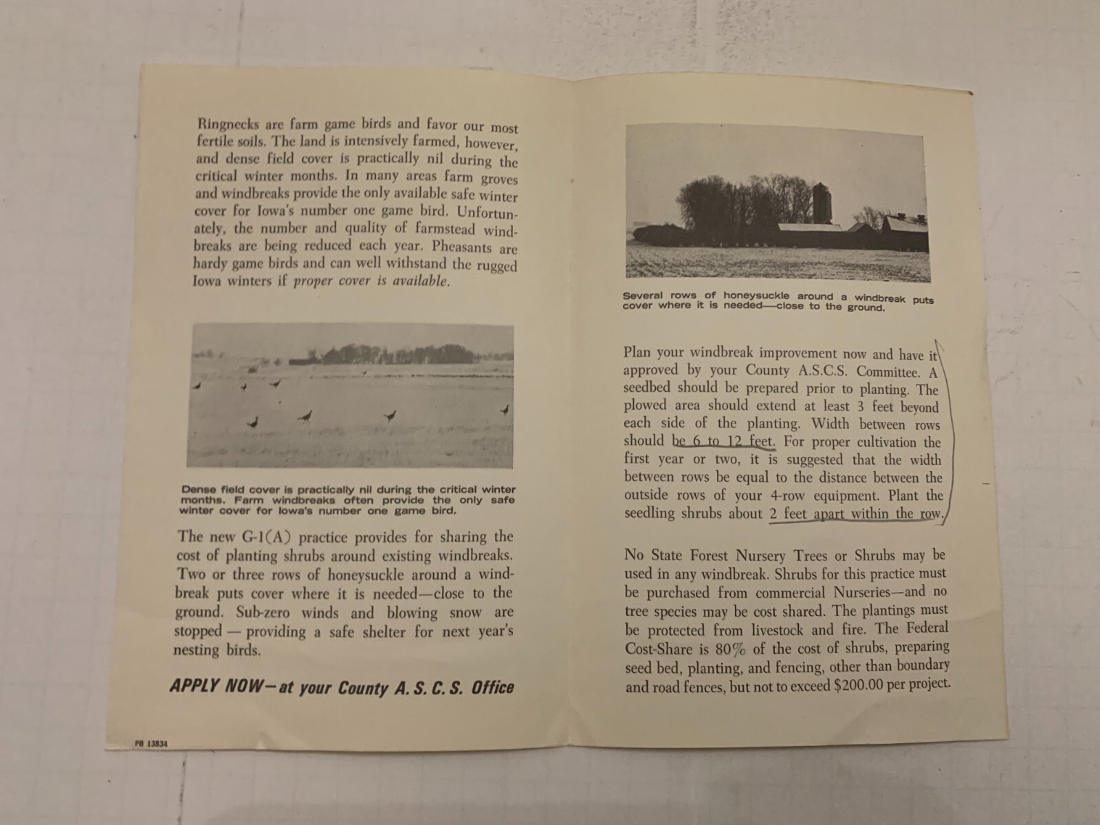 1966 ASCS Program Provides Winter Cover For Pheasants Iowa Conservation Brochure