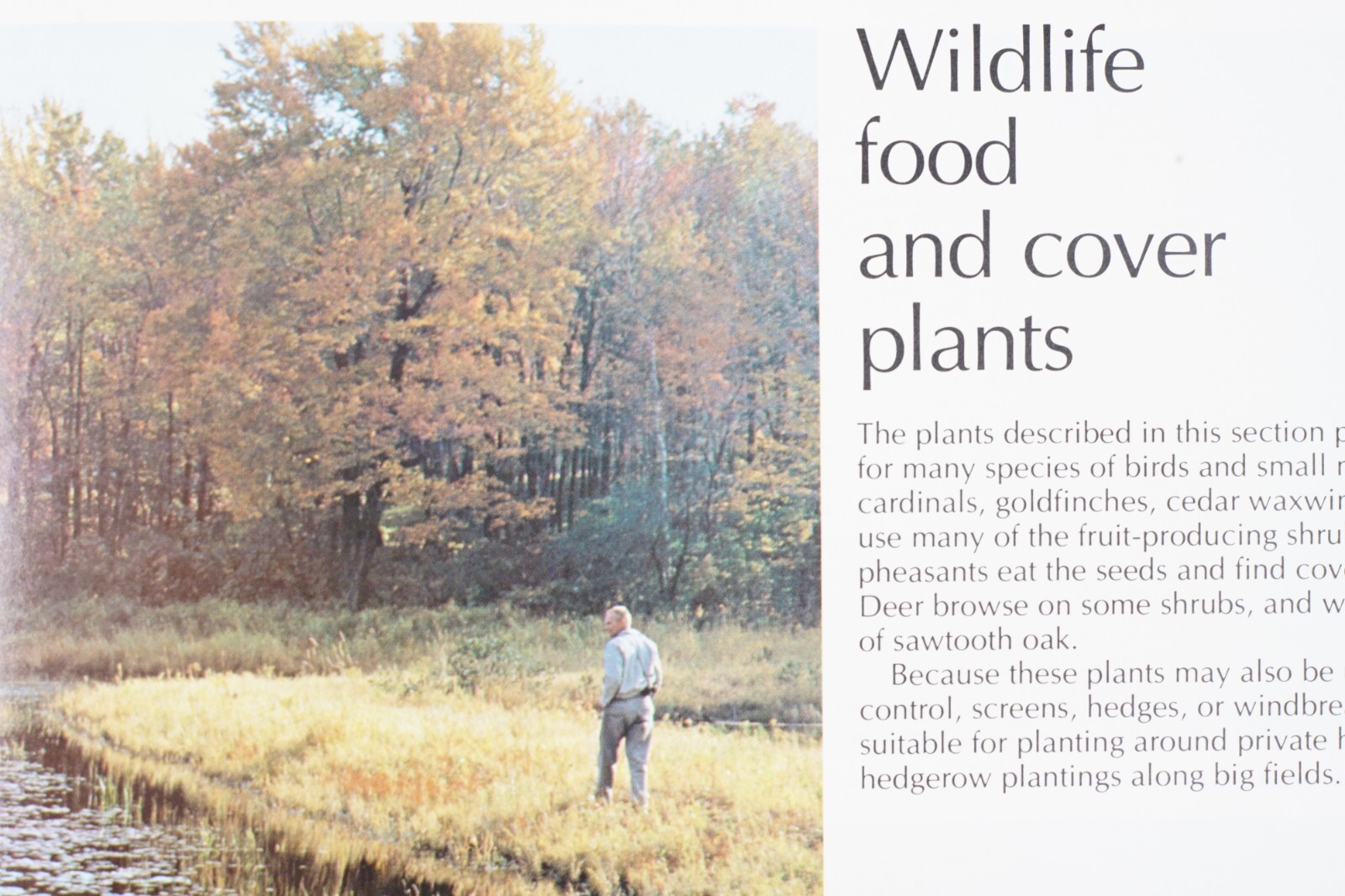 1977 USDA Conservation Plants for the Northeast Agricultural Brochure No. 1154