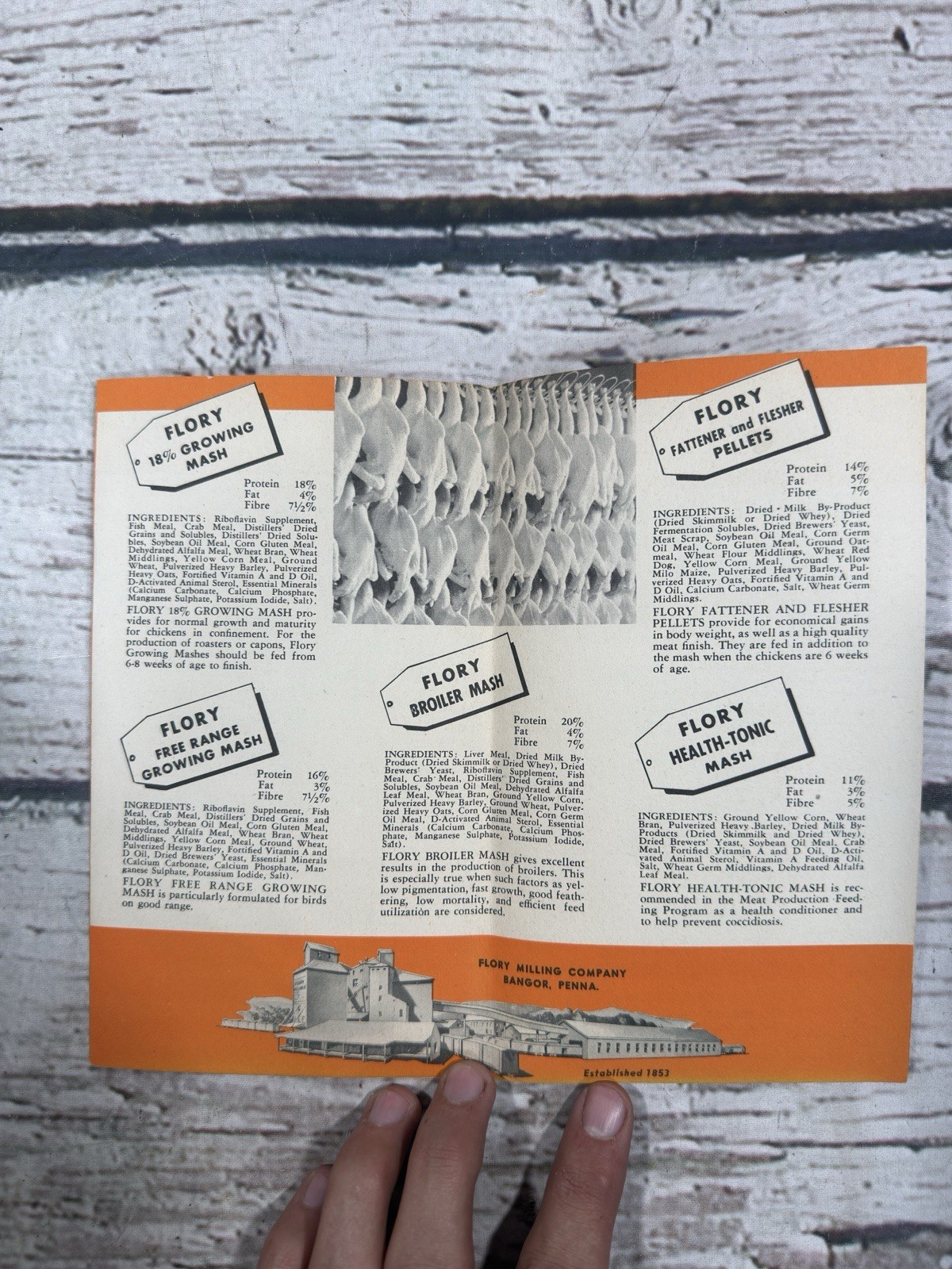 VTG Flory Feeding Program Flory Milling Company Bangor PA Brochure Info Adv Book