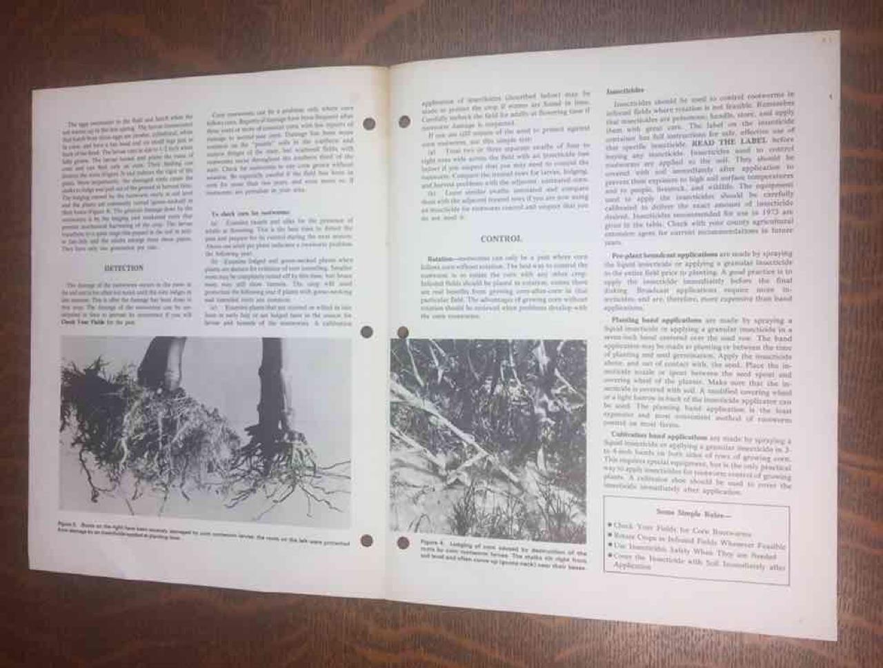 Vintage 1973 Corn Rootworm MSU Extension Service Insect & Pest Control 4 pg bklt