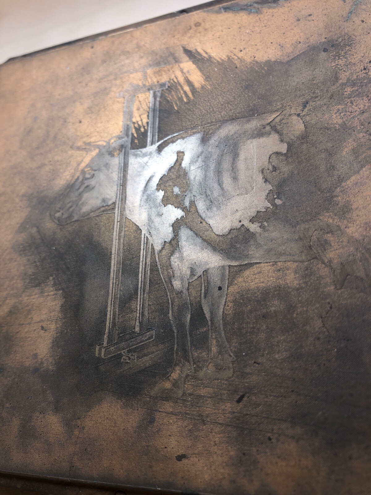 Rare Antique Robertson’s Forestville CT Stanchion Cow Copper Plate for BOOKLET