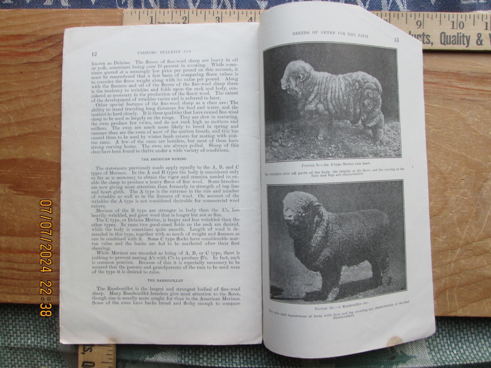 1940 Breeds of sheep for the farm US Department of Agriculture number 576