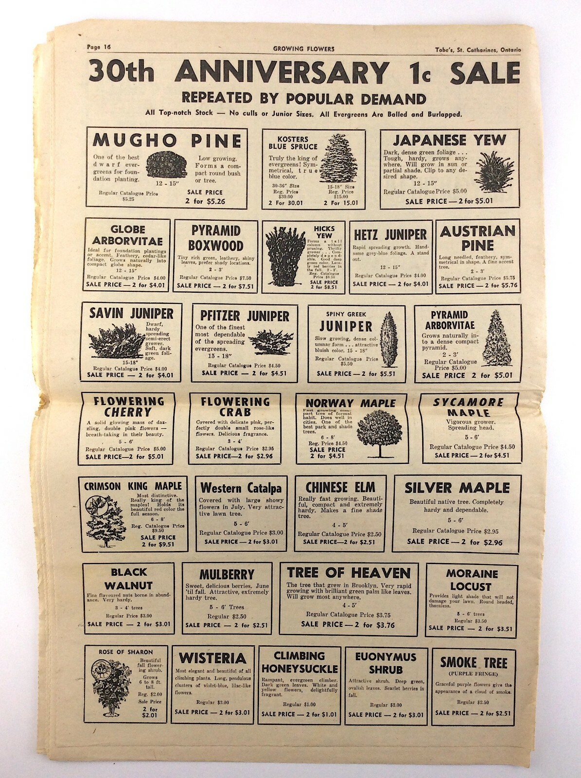 Fall 1964 Growing Flowers Seed Plant Catalog Flyer St Catherines Ontario Q272